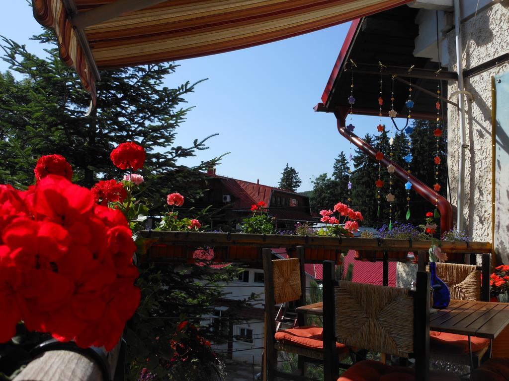 Bistro-Pension La Teleferic Sinaia Exterior foto