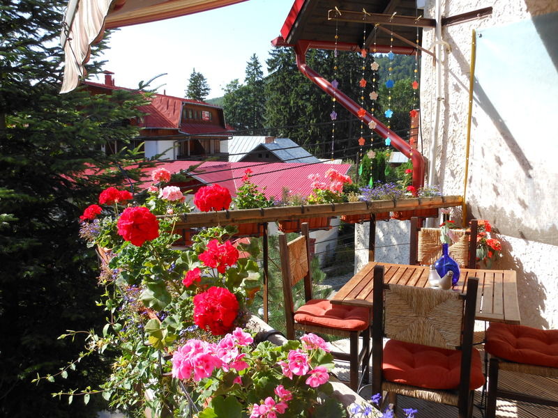 Bistro-Pension La Teleferic Sinaia Exterior foto